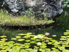 -温江公园