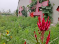 -亦庄创意生活广场