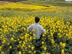 -三圣花乡旅游区