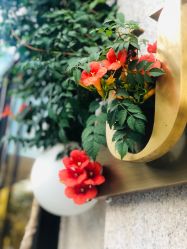 -Dr.U博士医疗美容医院
