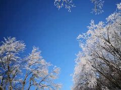 -终南山国家森林公园