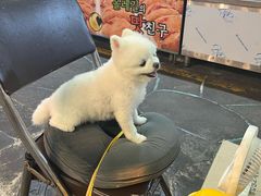 -西归浦每天偶来市场