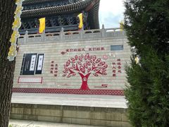 -大槐树寻根祭祖园