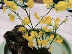 -宴昆山·私房菜(春晖店)