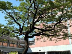 -香港科学馆