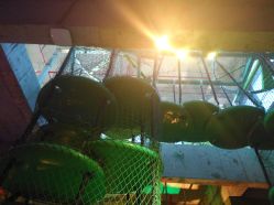 -恐龙探索乐园(磁器口店)