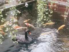 -湖鲜楼