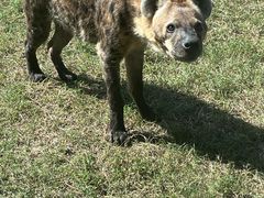 -南京金牛湖风景区