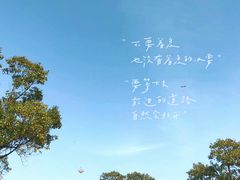 -漕湖湿地公园