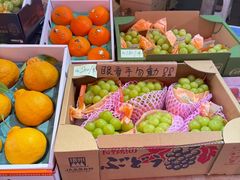 -油麻地果栏