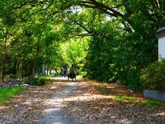-上海佘山国家森林公园天马山园