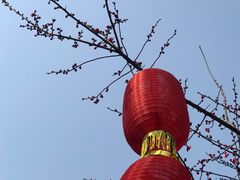 -成都杜甫草堂博物馆