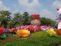-映月湖公园