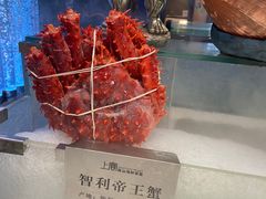 -上宴精品海鲜姿造(晶融汇旗舰店)