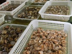 -南庄酒家·海鲜粤菜·25年老字号(环城南路店)