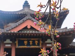 -西安青龙寺遗址景区