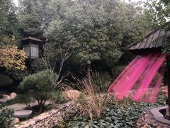 -观唐（国际）度假村温泉