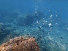 -亚龙湾海底世界