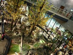 -湖南省地质博物馆