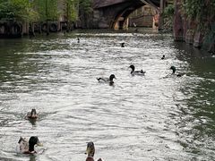 -长鹿旅游休博园