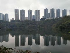 -重庆彩云湖湿地公园