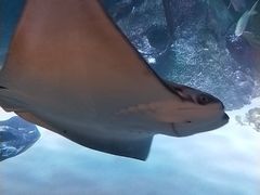 -沈阳海洋探索中心