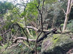 -清溪森林公园
