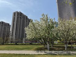 -大望京儿童游乐场