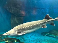 -多彩贵州城极地海洋世界