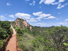 -大岭沟猕猴桃谷风景区