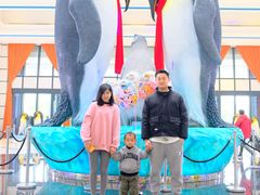 -帝企鹅自助餐厅•儿童岛•真企鹅(长隆企鹅酒店)