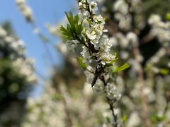 -风云岭森林公园