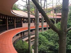 -雁南飞茶田景区