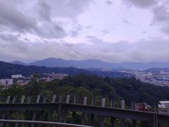 -福道