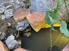 -花锦堂·隐庐