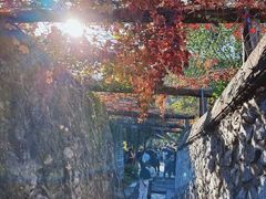 -香山公园