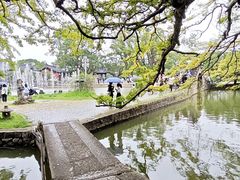 -江心屿景区