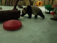 -南京汤山紫清湖生态旅游温泉度假区