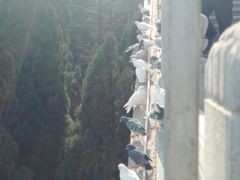 -龙口南山旅游景区