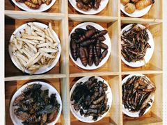 -昆虫窝子·特色云南菜(拓东路总店)