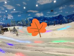 -世界之窗阿尔卑斯冰雪世界
