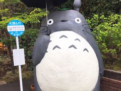 -伊豆泰迪熊博物馆