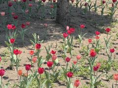 -长春公园(普阳街道)