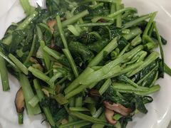-煲来饱去冷水鱼