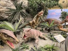 -国家自然博物馆