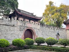 -桂湖森林公园
