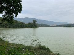 -鼎湖山风景区
