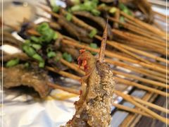 -晓靖轩烧烤(沙河风情店)