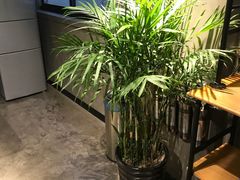 -脉冲品质汽美·贴膜(闵行店)
