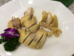 阳山走地鸡-六婶西关小厨(光塔路店)